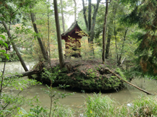 龍泉寺