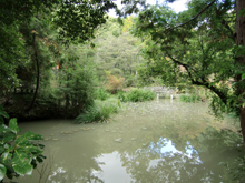 龍泉寺