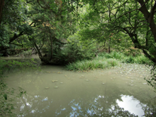 龍泉寺
