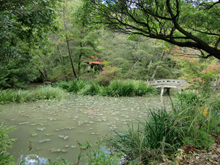 龍泉寺