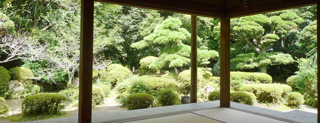 柴屋寺