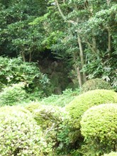 柴屋寺
