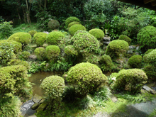 柴屋寺
