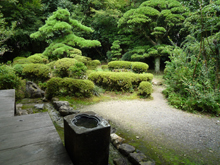 柴屋寺