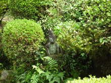 柴屋寺