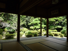 柴屋寺