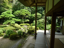 柴屋寺