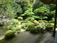 柴屋寺