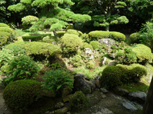 柴屋寺