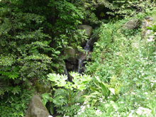 三渓園