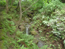 三渓園