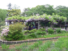 三渓園