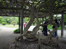 三渓園
