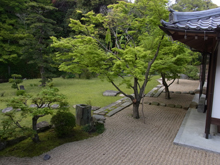 宗隣寺庭園