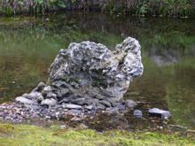 宗隣寺庭園