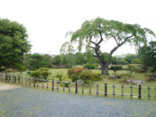 衆楽園