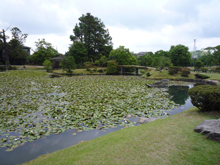 衆楽園