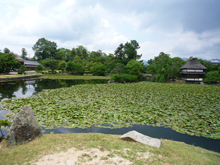 衆楽園