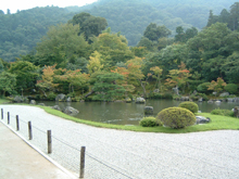 天龍寺庭園