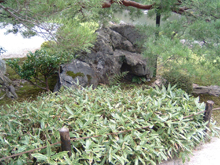 天龍寺庭園