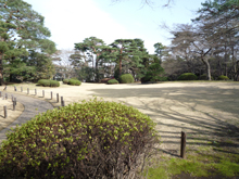 殿ヶ谷戸庭園