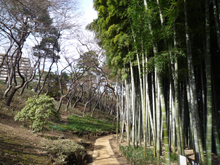 殿ヶ谷戸庭園