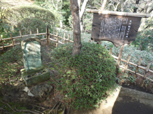 殿ヶ谷戸庭園
