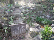 殿ヶ谷戸庭園