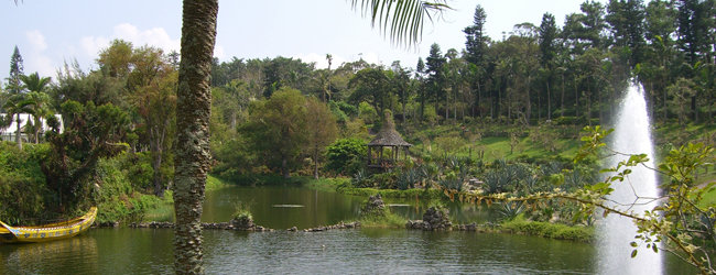 東南植物園