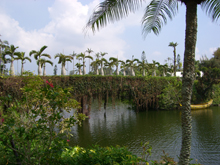 東南植物園