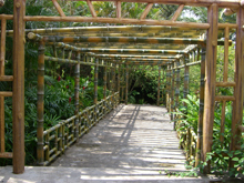 東南植物園