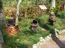 東南植物園
