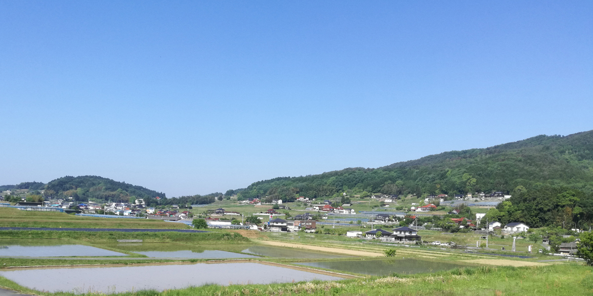 果樹園について